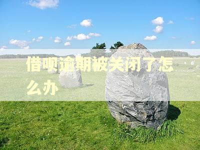 借呗逾期被关闭了怎么办