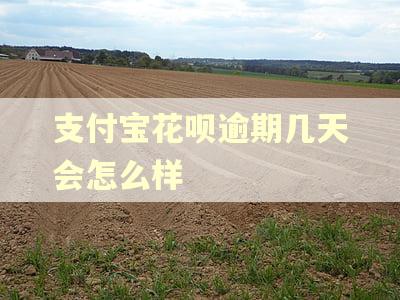 支付宝花呗逾期几天会怎么样