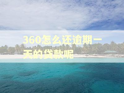 360怎么还逾期一天的贷款呢