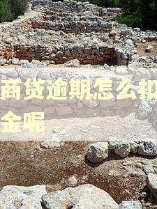 网商贷逾期怎么扣的本金呢