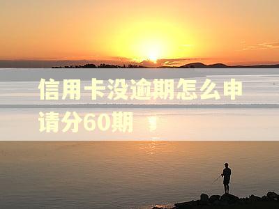信用卡没逾期怎么申请分60期