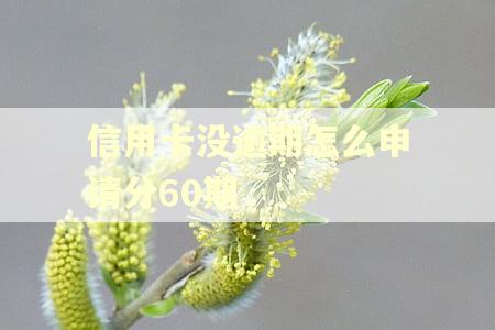 信用卡没逾期怎么申请分60期