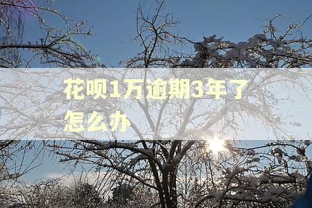 花呗1万逾期3年了怎么办