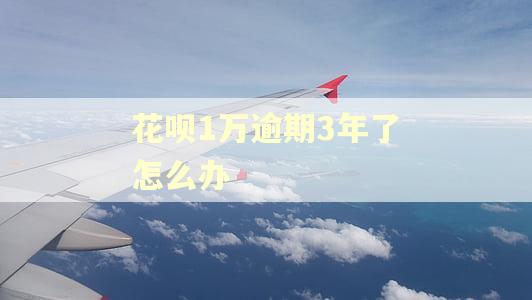 花呗1万逾期3年了怎么办