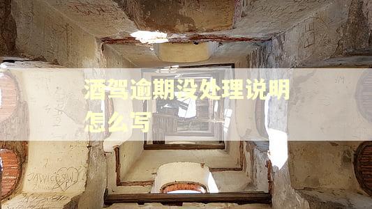 酒驾逾期没处理说明怎么写