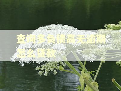 查询多负债高无逾期怎么贷款