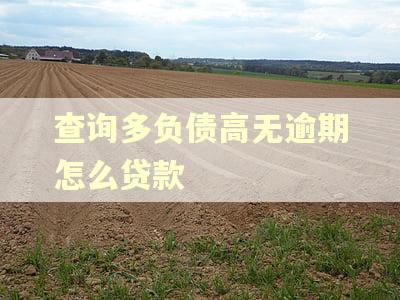 查询多负债高无逾期怎么贷款
