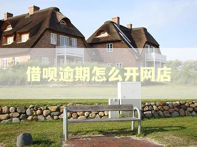 借呗逾期怎么开网店 借呗逾期怎么开网店