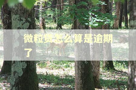 微粒贷怎么算是逾期了