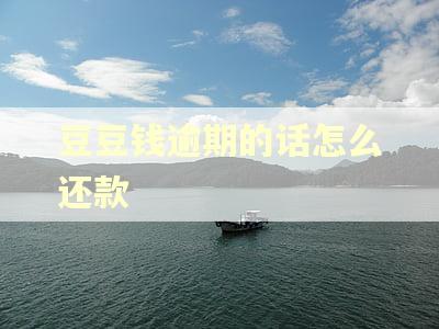 豆豆钱逾期的话怎么还款