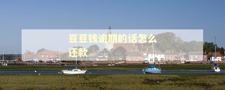 豆豆钱逾期的话怎么还款