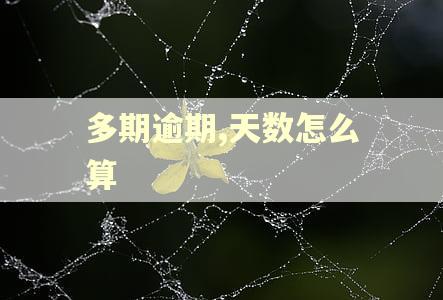 多期逾期,天数怎么算