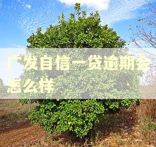 广发自信一贷逾期会怎么样
