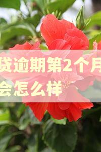 网贷逾期第2个月罚款会怎么样