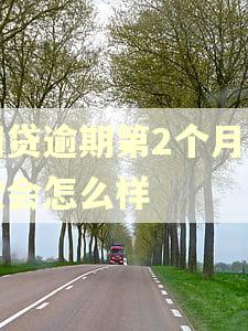 网贷逾期第2个月罚款会怎么样