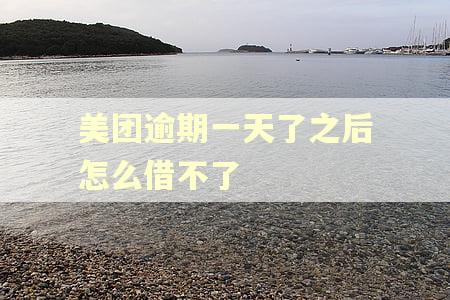 美团逾期一天了之后怎么借不了