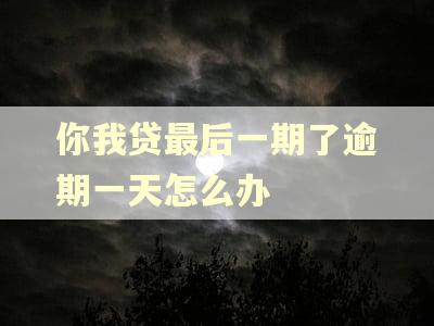 你我贷最后一期了逾期一天怎么办