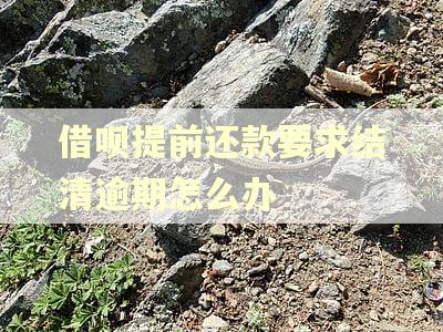 借呗提前还款要求结清逾期怎么办