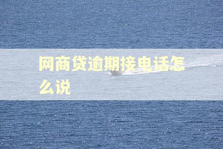 网商贷逾期接电话怎么说