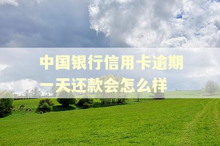 中国银行信用卡逾期一天还款会怎么样