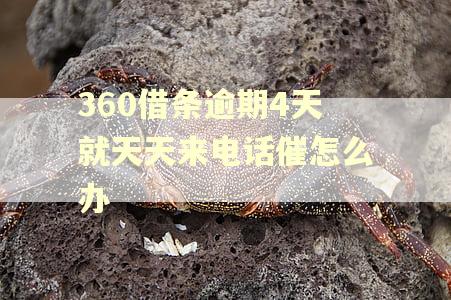 360借条逾期4天就天天来电话催怎么办