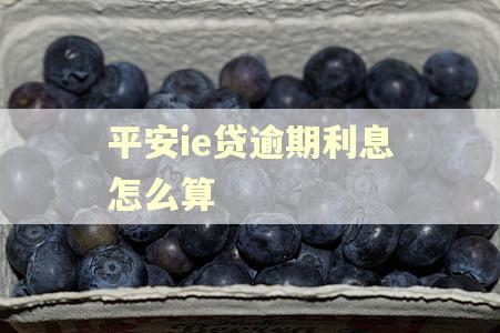 平安ie贷逾期利息怎么算
