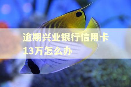 逾期兴业银行信用卡13万怎么办