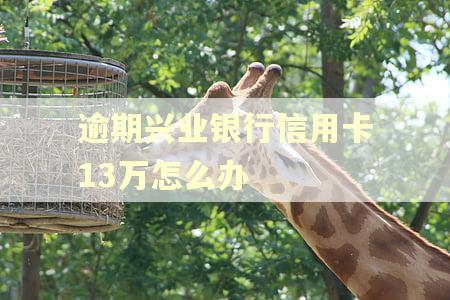 逾期兴业银行信用卡13万怎么办