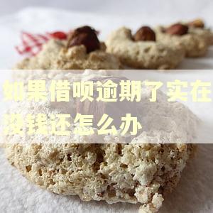 如果借呗逾期了实在没钱还怎么办