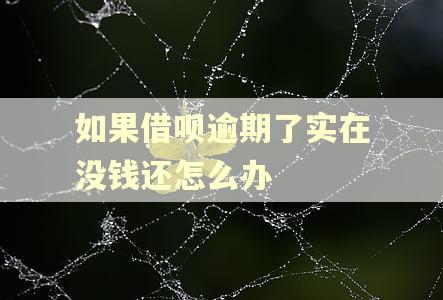 如果借呗逾期了实在没钱还怎么办 如果借呗逾期了实在没钱还怎么办