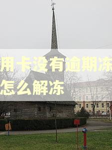 信用卡没有逾期冻结了怎么解冻