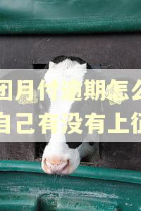 美团月付逾期怎么查询自己有没有上征信