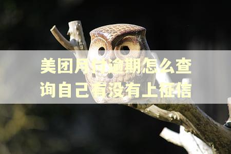 美团月付逾期怎么查询自己有没有上征信
