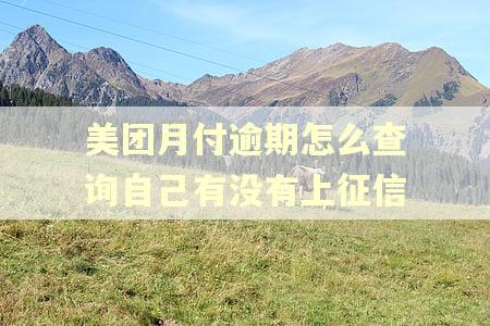 美团月付逾期怎么查询自己有没有上征信