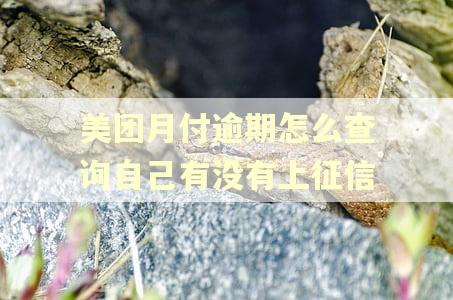 美团月付逾期怎么查询自己有没有上征信
