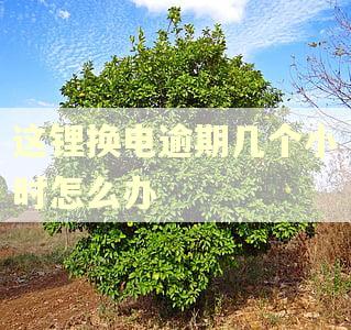 这锂换电逾期几个小时怎么办