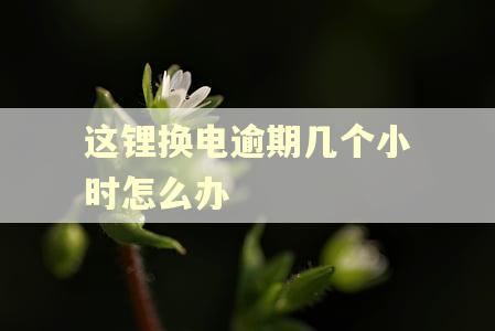 这锂换电逾期几个小时怎么办 这锂换电逾期几个小时怎么办
