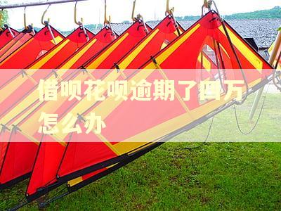 借呗花呗逾期了四万怎么办
