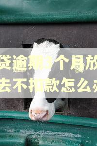 房贷逾期3个月放钱进去不扣款怎么办