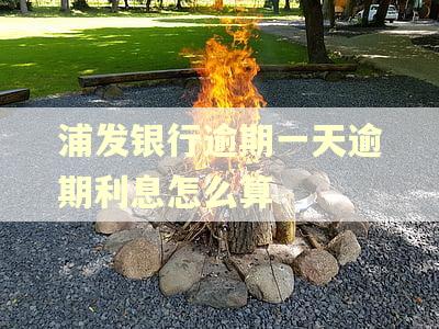 浦发银行逾期一天逾期利息怎么算