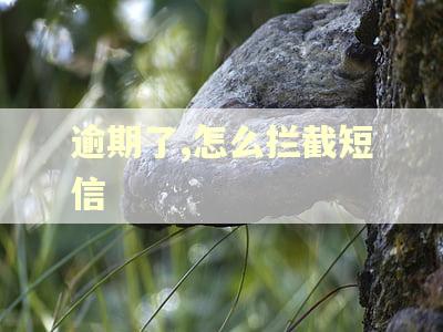 逾期了,怎么拦截短信