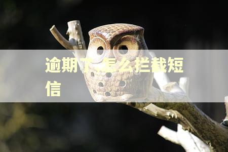 逾期了,怎么拦截短信