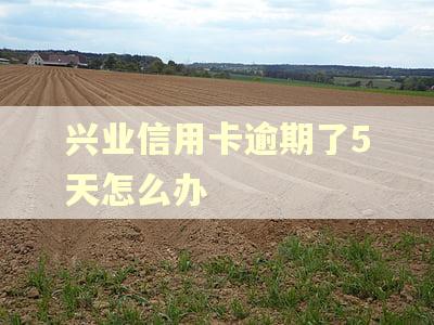 兴业信用卡逾期了5天怎么办 兴业信用卡逾期了5天怎么办