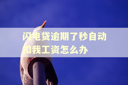 闪电贷逾期了秒自动扣我工资怎么办