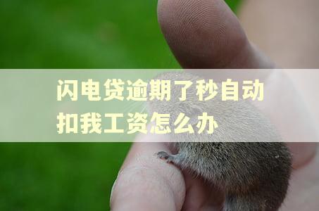 闪电贷逾期了秒自动扣我工资怎么办