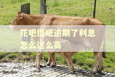 花吧借吧逾期了利息怎么这么高