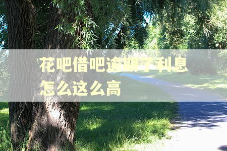 花吧借吧逾期了利息怎么这么高