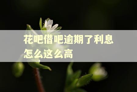 花吧借吧逾期了利息怎么这么高