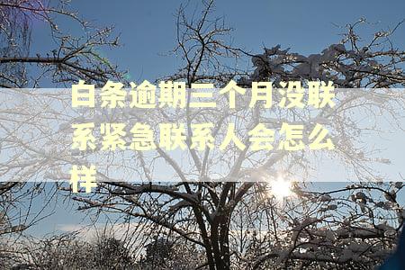 白条逾期三个月没联系紧急联系人会怎么样