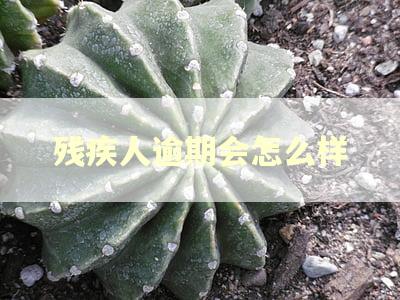 残疾人逾期会怎么样